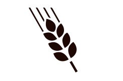 icona_spiga_grano.png